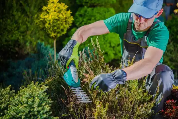 landscaping services Converse